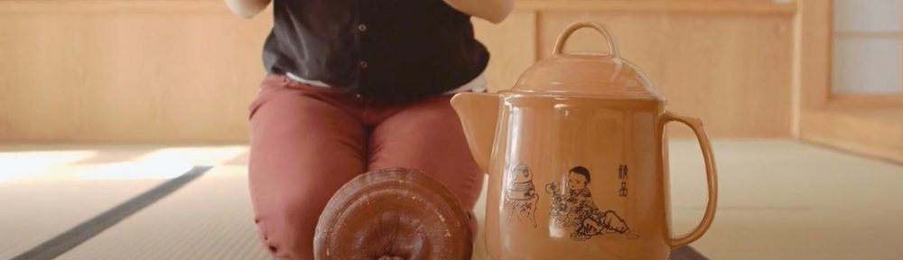 Reishi 101 – How is Red Reishi Grown?