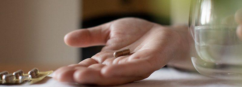 Are all Reishi Considered Equal? Myths, Facts and What You Need to Know