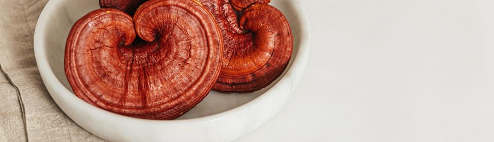What is Red Reishi?