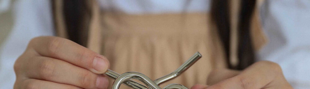 Autism and Red Reishi