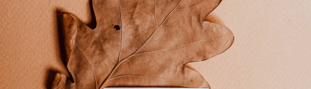 How to Quiet the Mind and Boost Cognitive Clarity