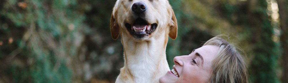 5 Reasons Why Reishi Mushrooms Are Great for Your Pets