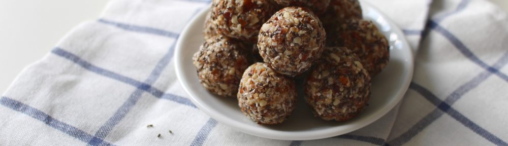 No-Cook Reishi Protein Balls