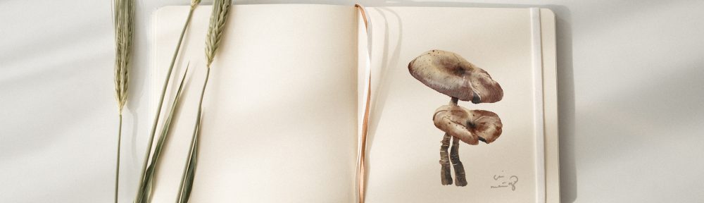 5 Cool Facts About Mushrooms That Will Impress Your Friends