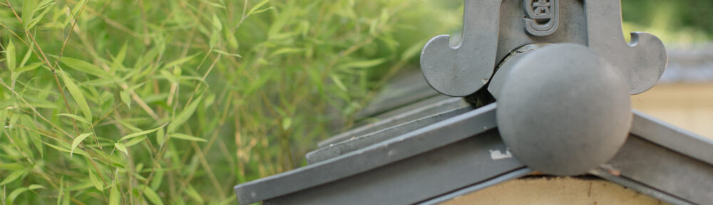 A Journey Through Time: Unveiling the History and Legends of Reishi Mushrooms