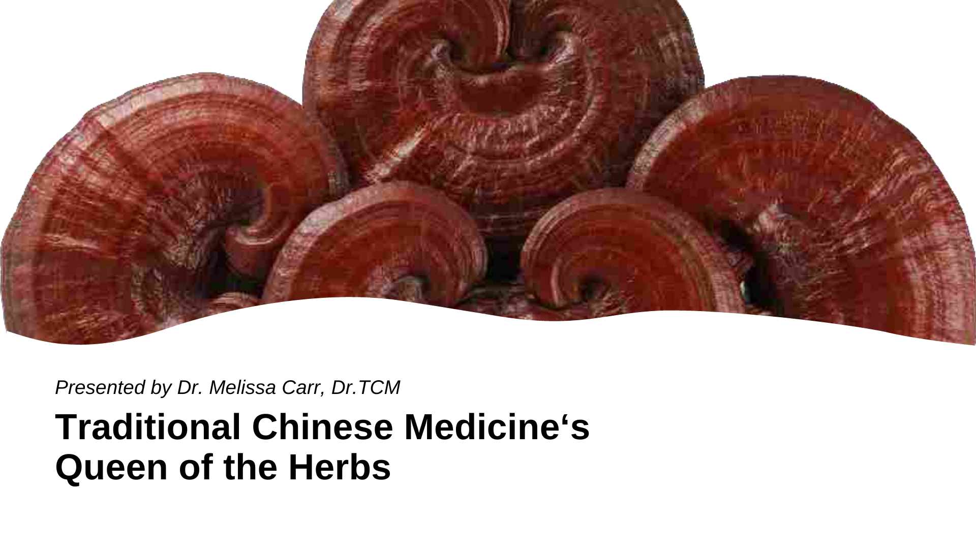 Traditional Chinese Medicine‘s Queen of the Herbs – Dr. Melissa Carr, Dr. TCM