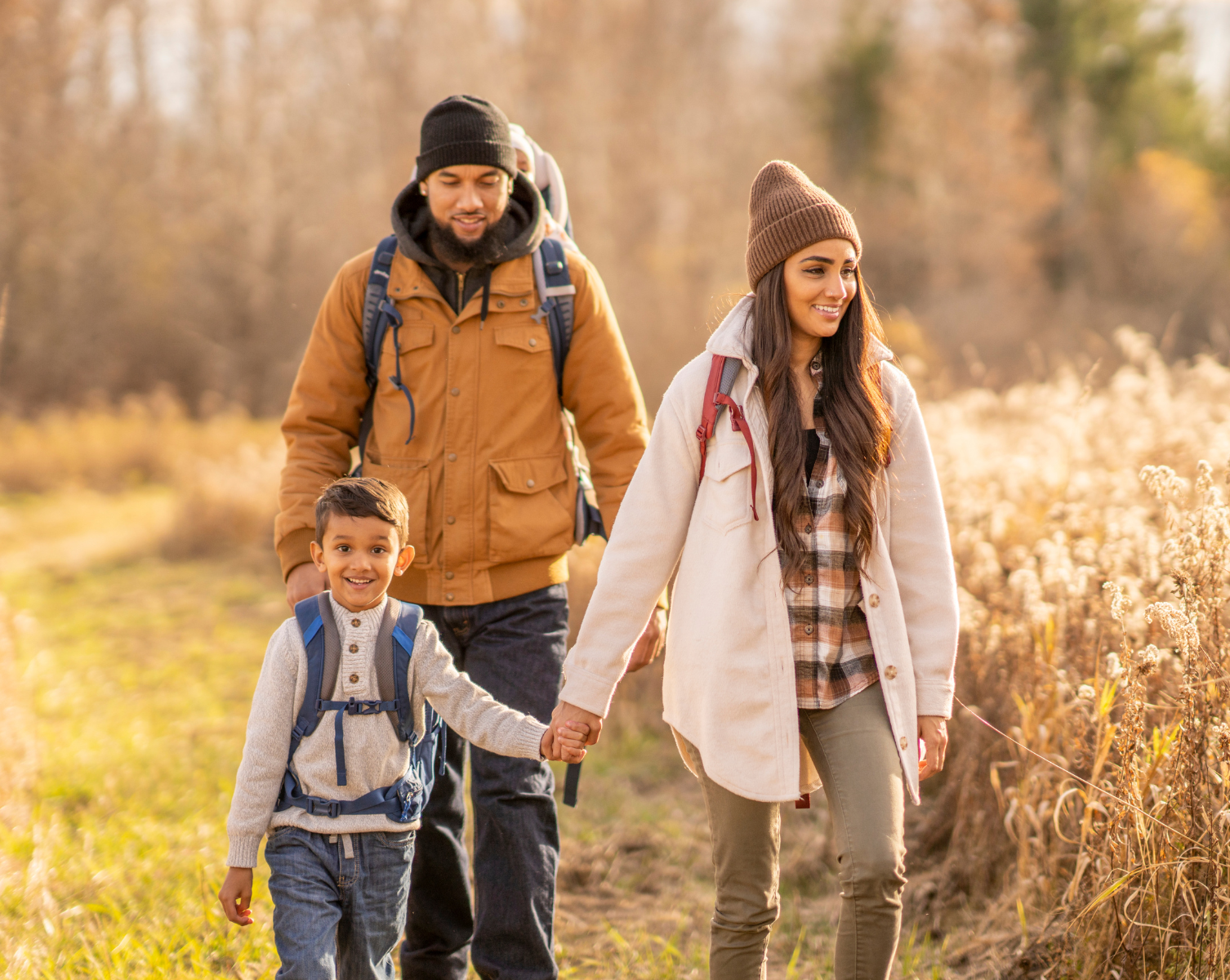 Reishi: Your shield against Cold and Flu Season
