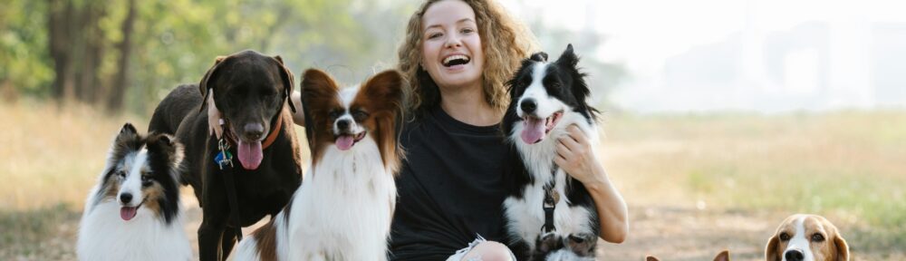 The Incredible Benefits of Reishi Mushrooms for Your Animal Companion