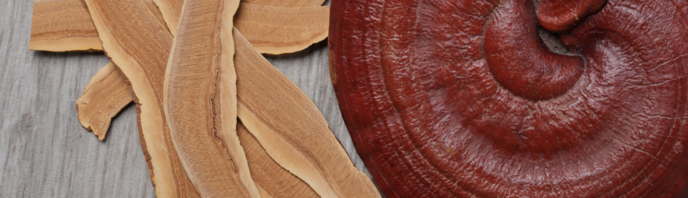 Comprendre les propriétés médicinales des champignons Reishi