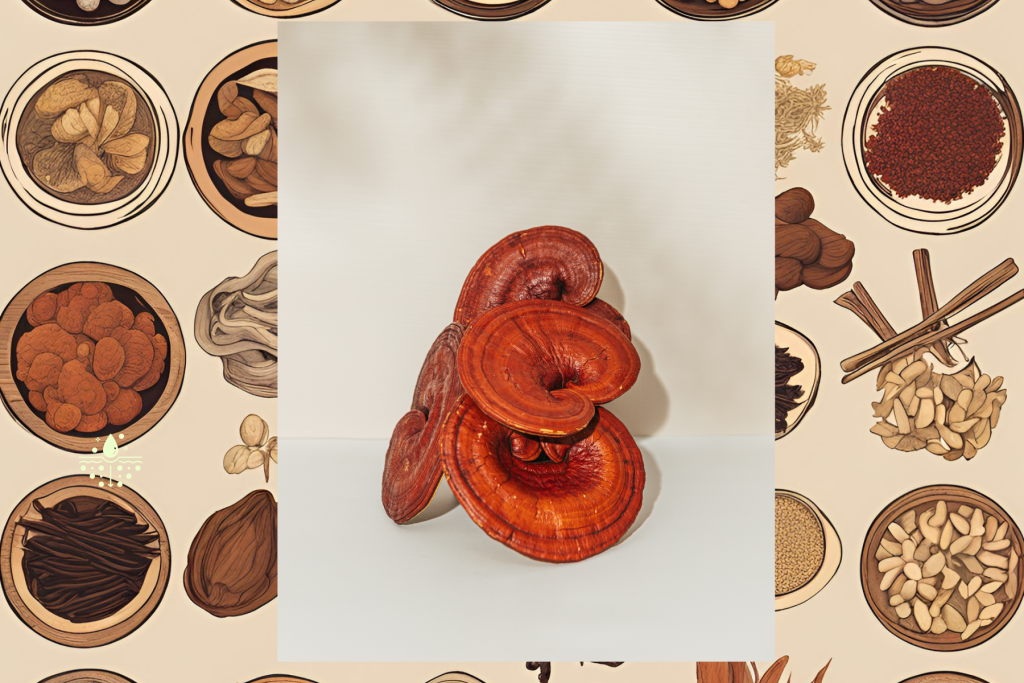 Reishi and the World of Adaptogens: Nature’s Stress-Defying Champion