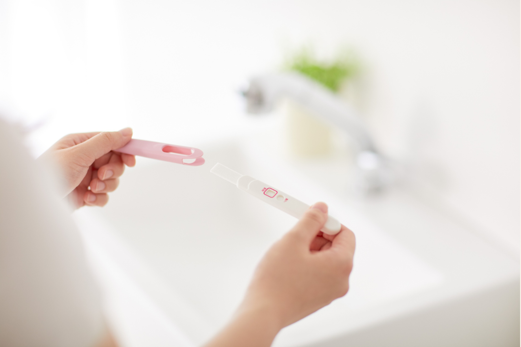 From Conception to Pregnancy: How Reishi Supplements May Support Healthy Fertility