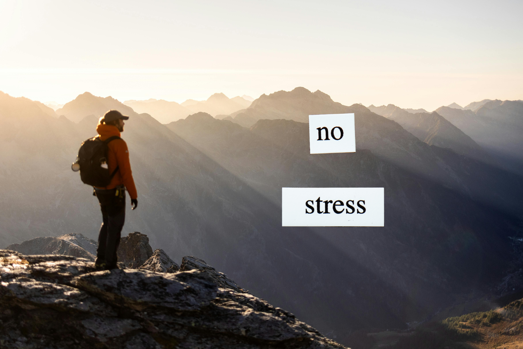 How Chronic Stress Impacts Your Health and How Reishi Can Help
